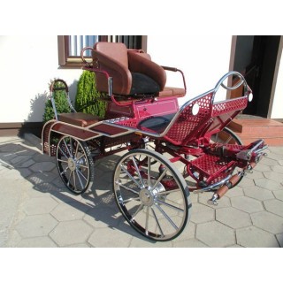 voiture marathon compétition attelage chevaux