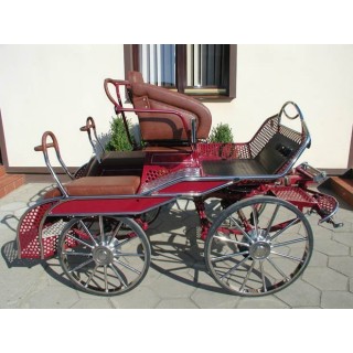 voiture marathon compétition attelage chevaux