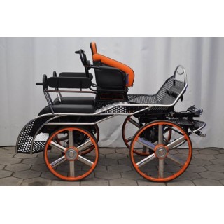 voiture marathon compétition attelage chevaux