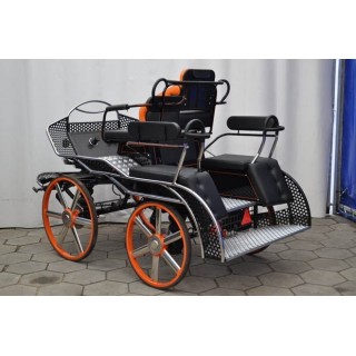 voiture marathon compétition attelage chevaux