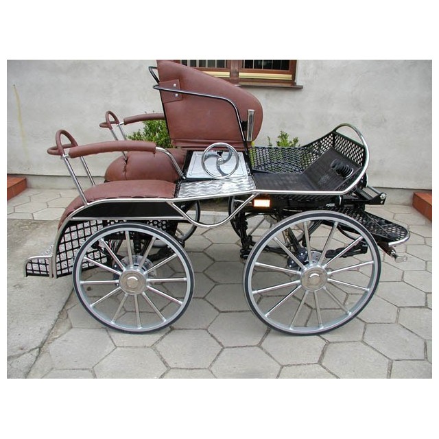 marathon kutschen carriage poney