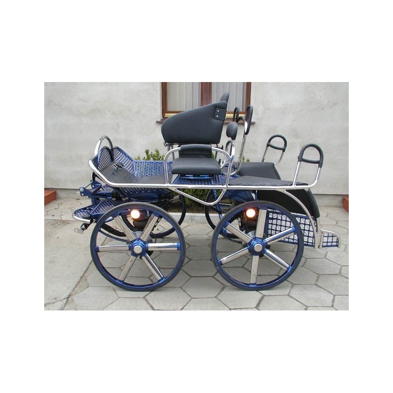 Voiture marathon Dominiak 2 chevaux