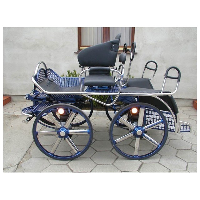 Voiture marathon Dominiak 2 chevaux