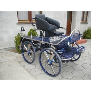 kutschen fahrsport