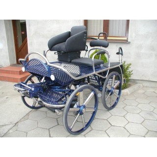 kutschen fahrsport