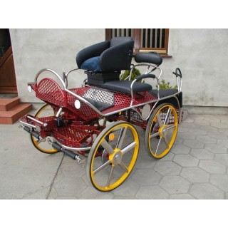 kutschen fahrsport