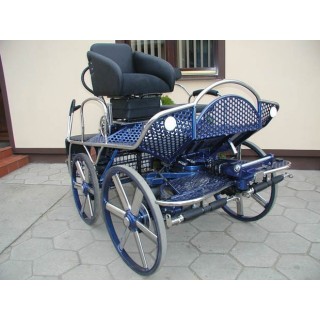 kutschen fahrsport