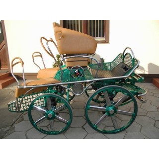 kutschen fahrsport