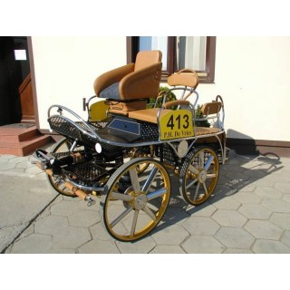 kutschen fahrsport