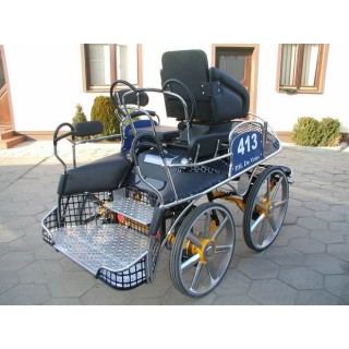 kutschen fahrsport