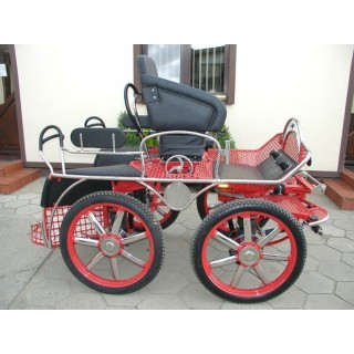 kutschen fahrsport
