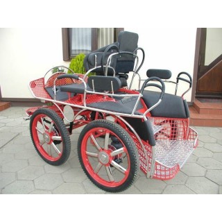 kutschen fahrsport