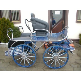 kutschen fahrsport