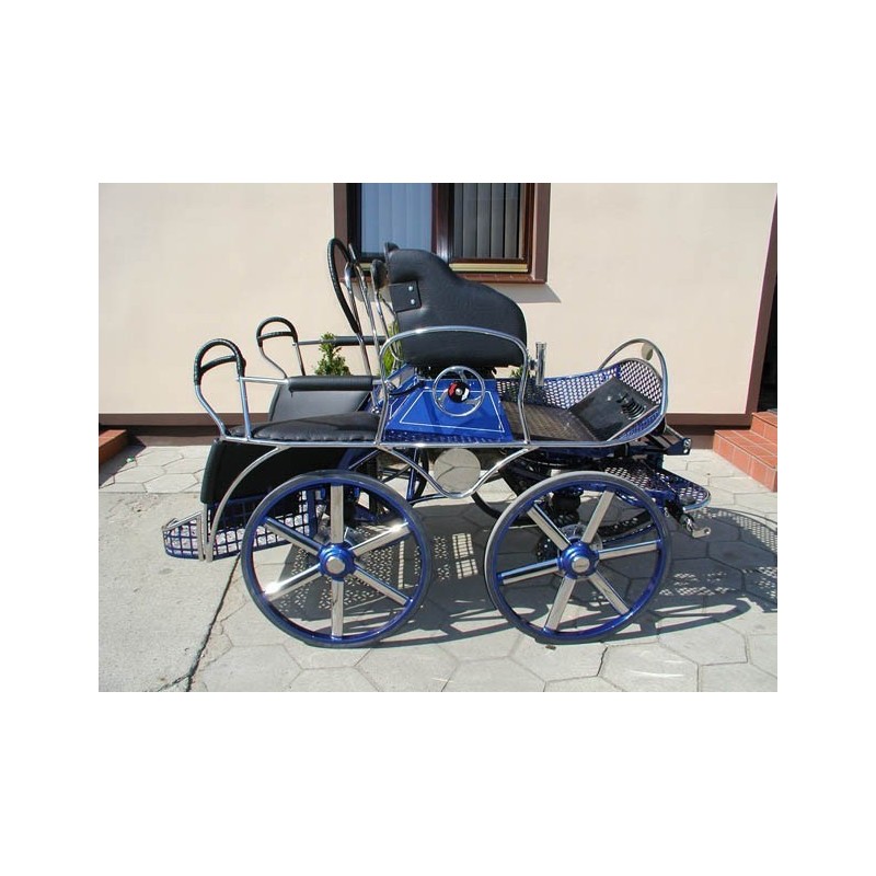 marathon hippomobile pour sport attelage chevaux