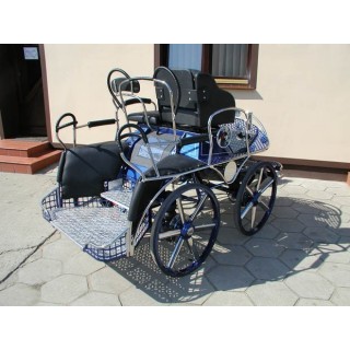 marathon hippomobile pour sport attelage chevaux
