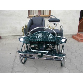 marathon hippomobile pour sport attelage chevaux