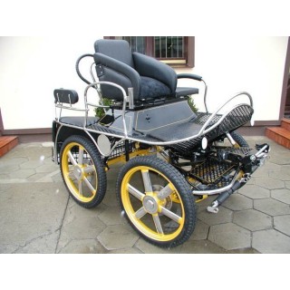 marathon hippomobile pour sport attelage chevaux