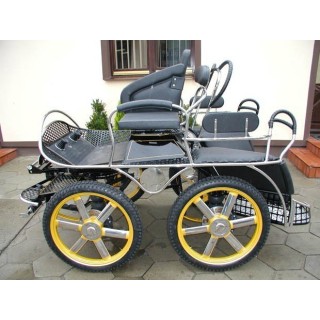 marathon hippomobile pour sport attelage chevaux