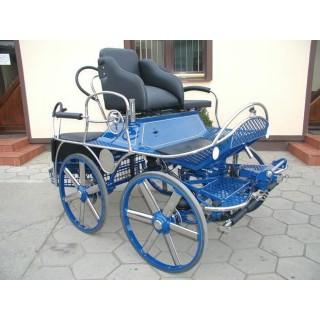 marathon hippomobile pour sport attelage chevaux