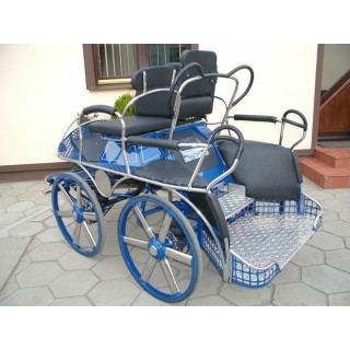 marathon hippomobile pour sport attelage chevaux