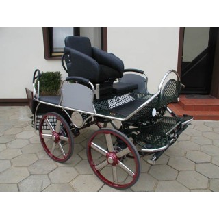 marathon hippomobile pour sport attelage chevaux