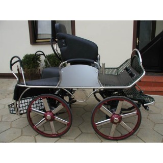 marathon hippomobile pour sport attelage chevaux