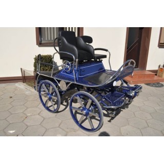 marathon hippomobile pour sport attelage chevaux