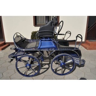 marathon hippomobile pour sport attelage chevaux