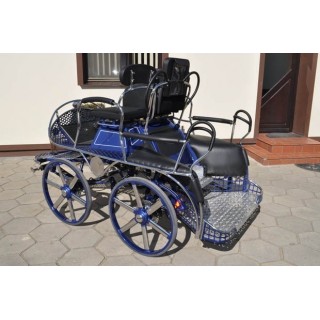 marathon hippomobile pour sport attelage chevaux