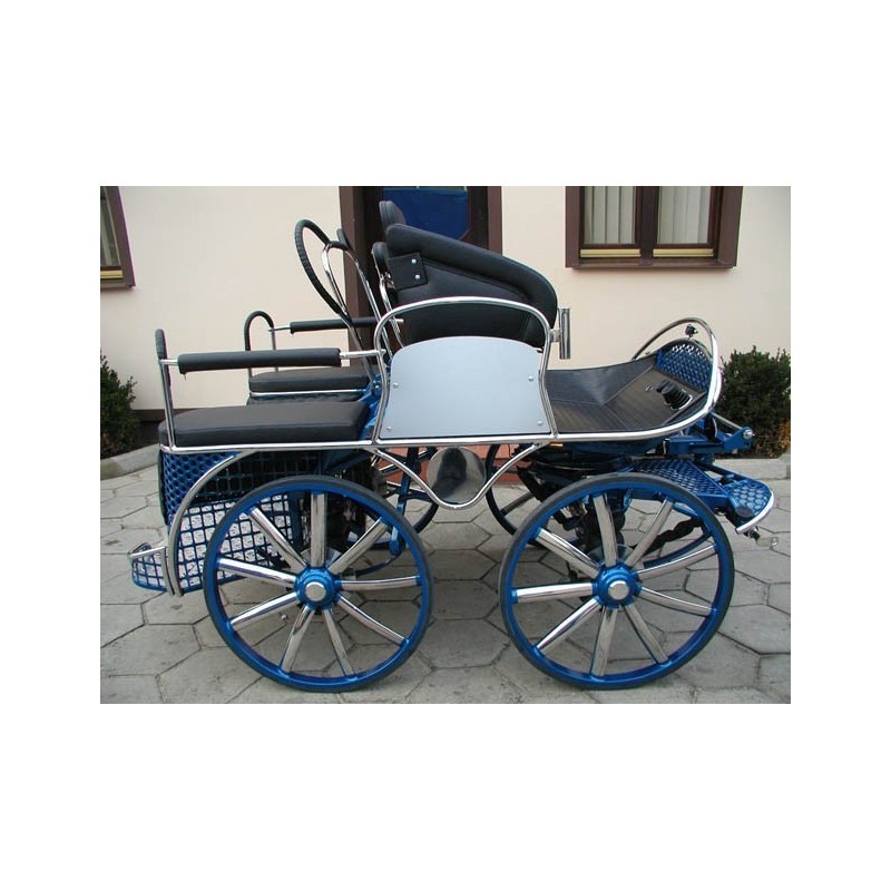 voiture attelage hippomobile cheval marathon
