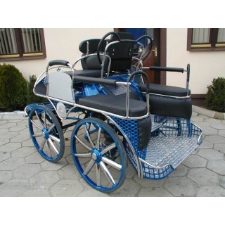 voiture attelage hippomobile cheval marathon