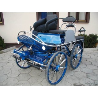 voiture attelage hippomobile cheval marathon