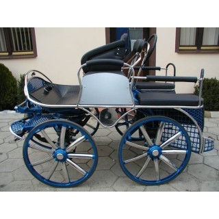 voiture attelage hippomobile cheval marathon