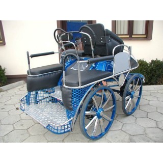 voiture attelage hippomobile cheval marathon