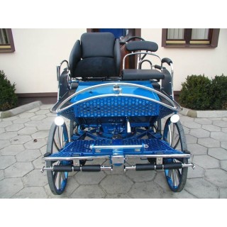 voiture attelage hippomobile cheval marathon