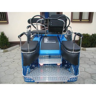 voiture attelage hippomobile cheval marathon