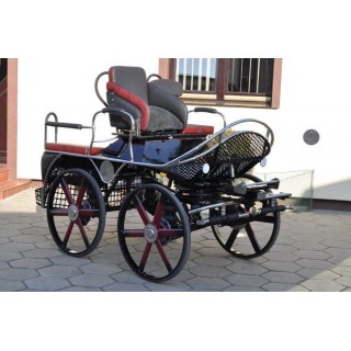 voiture attelage hippomobile cheval marathon