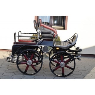 voiture attelage hippomobile cheval marathon