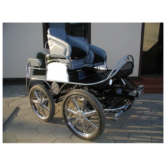 Voiture marathon attelage en paire