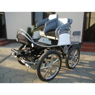 marathon hippomobile attelage cheval ou ânes