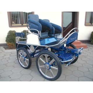 marathon hippomobile attelage cheval ou ânes