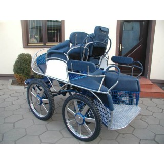 marathon hippomobile attelage cheval ou ânes