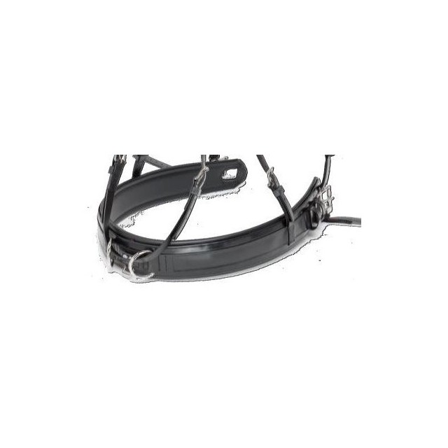 bricole zilco classic pour attelage de deux chevaux