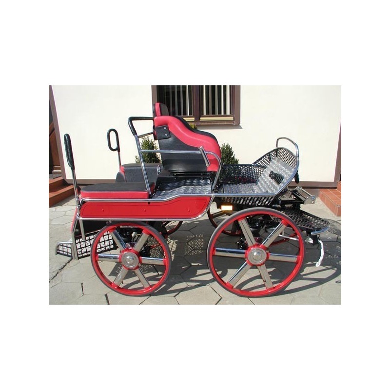 horses carriage