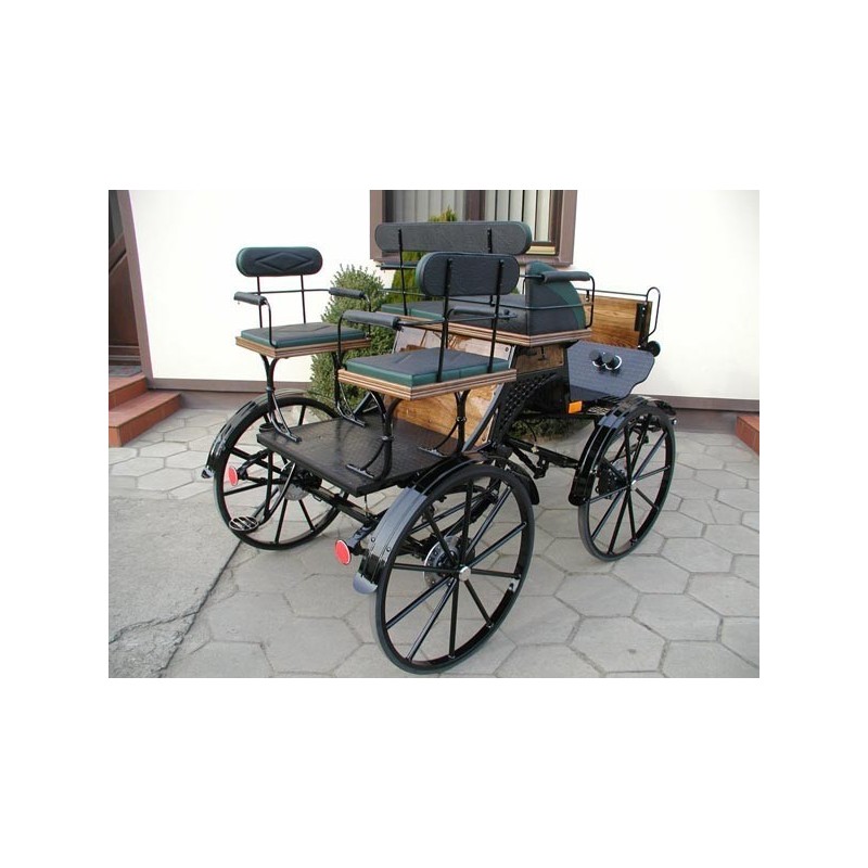 voiture-loisir-training-attelage-hippomobile