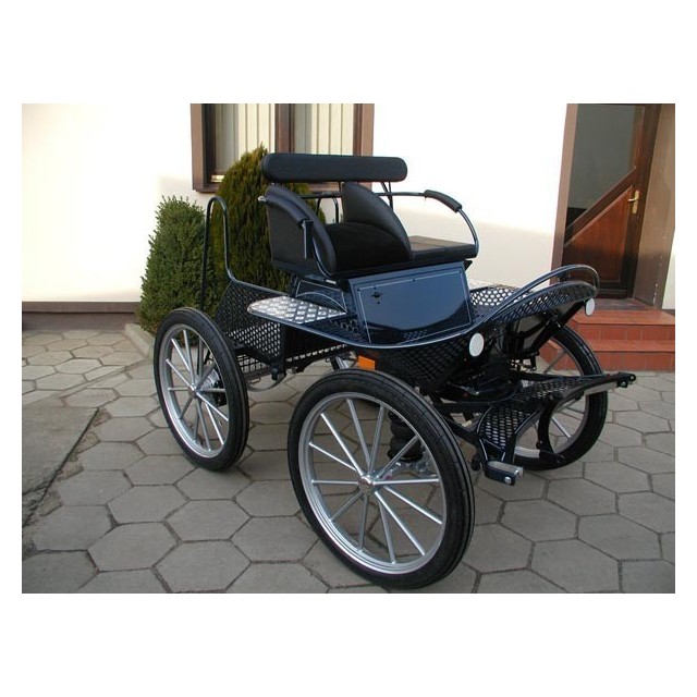 voiture attelage marathon loisir cheval cob cheval de trait