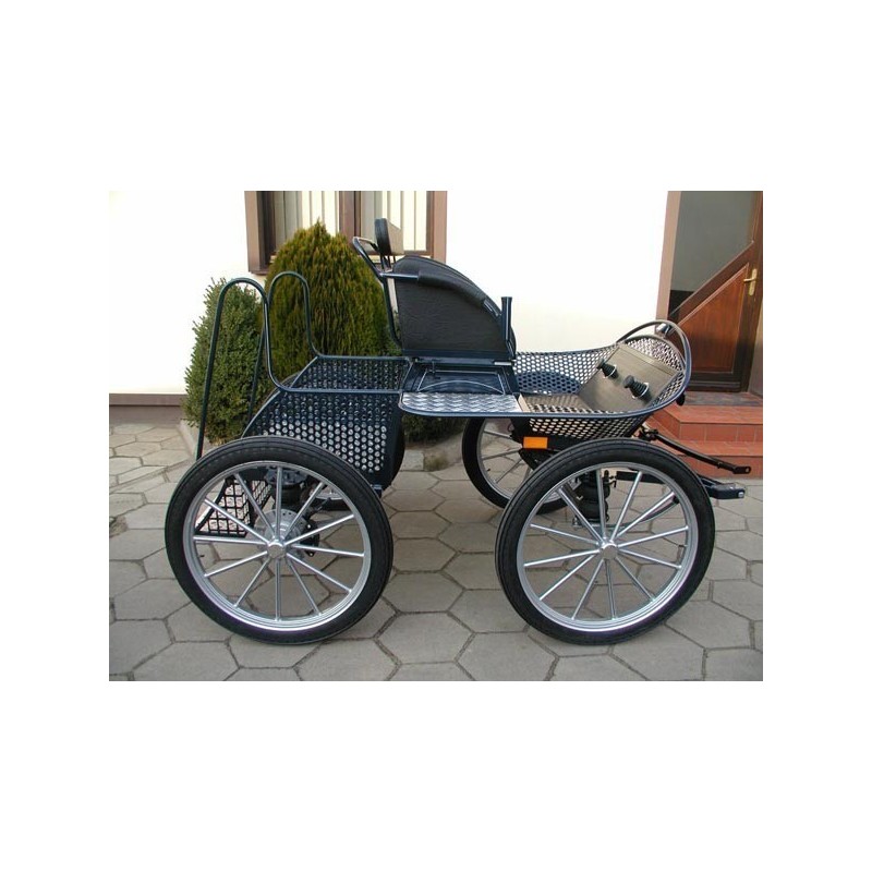 voiture attelage marathon loisir cheval cob cheval de trait