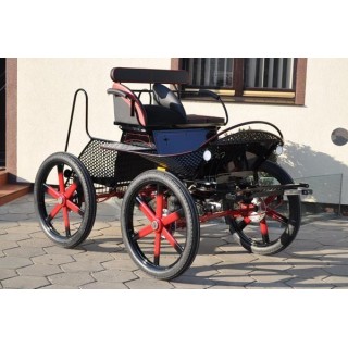 voiture attelage marathon loisir cheval cob cheval de trait