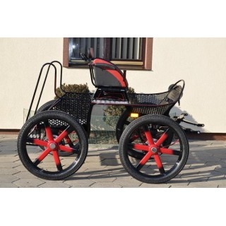 voiture attelage marathon loisir cheval cob cheval de trait