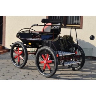 voiture attelage marathon loisir cheval cob cheval de trait